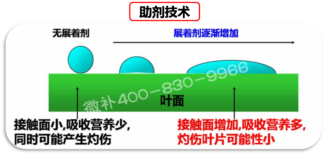 余教授德國鄉(xiāng)村行：我在德國為什么不會點啤酒了？