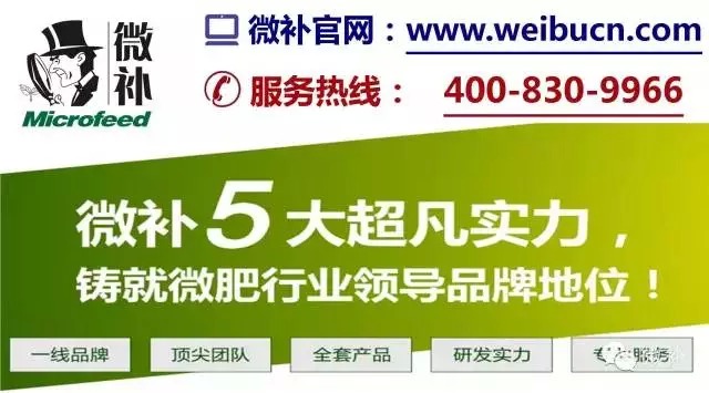 余教授奧地利鄉(xiāng)村行：萬科為什么說把奧地利小鎮(zhèn)搬回來？