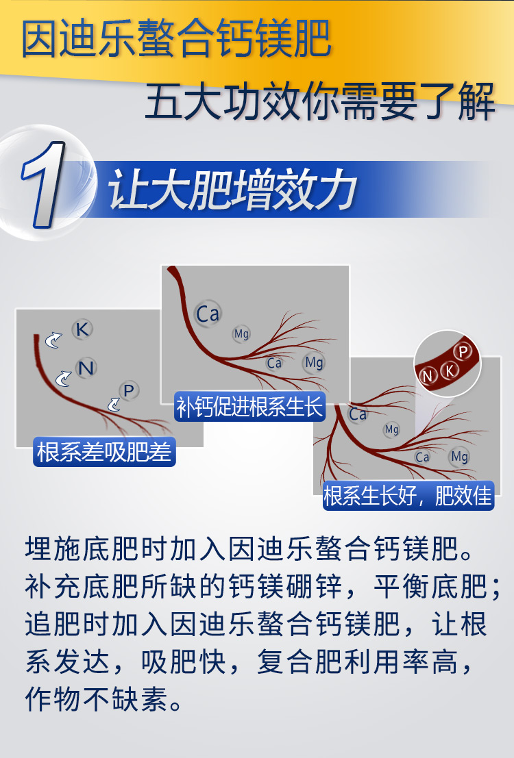 18因迪樂有機螯合鈣鎂肥2_04.jpg