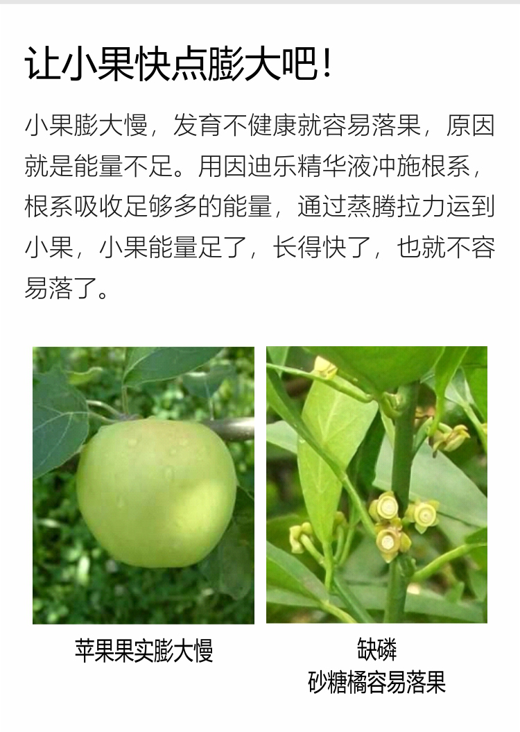 因迪樂精華液(1)_05.jpg