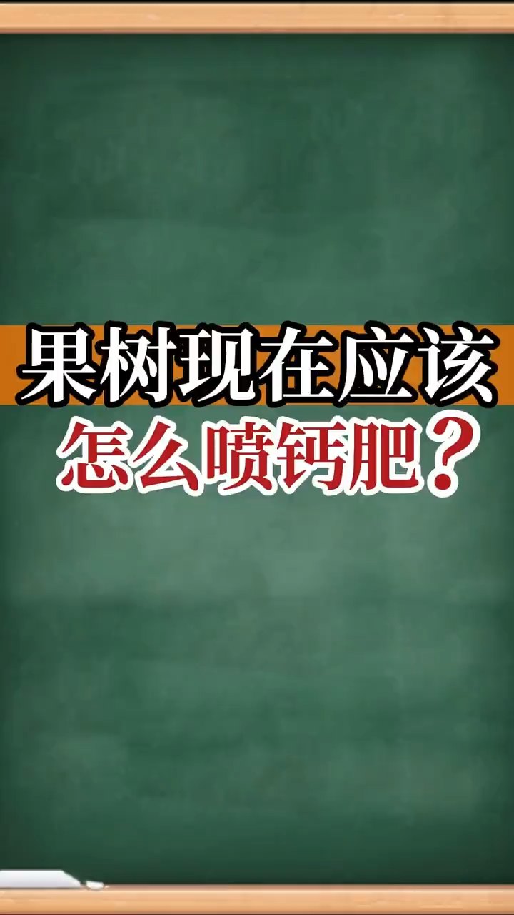 果樹現(xiàn)在應(yīng)該怎么噴鈣肥？